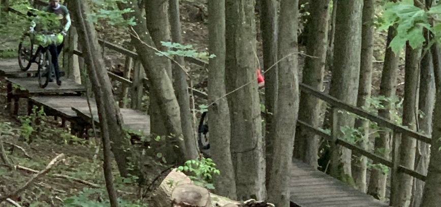 Jūs nustebsite tai sužinoję. Sensacija!