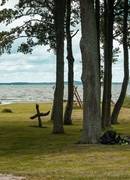 News in english only