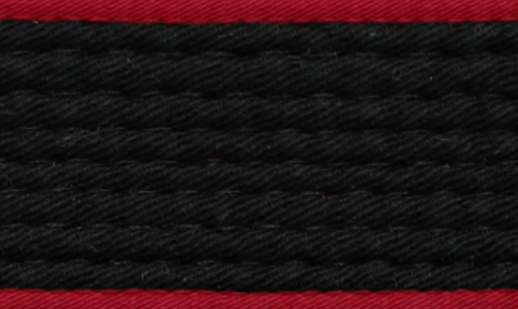 A. Tapinas. BMW-Fahrer an der Staatsspitze sind völlig erschöpft