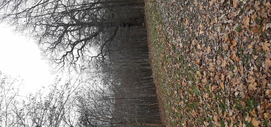 Tarptautinis akordeono festivalis Vilnius 2016